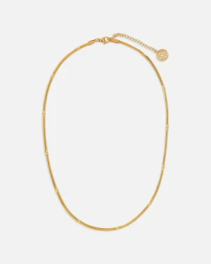Collares | Lonbali Collar Gandy
